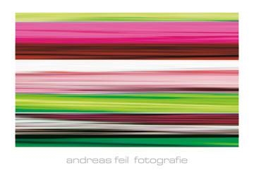 138x95 | Fotografie II ( Feil Andreas )