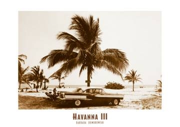 70x50 | Havanna III ( Dombrowski Barbara )